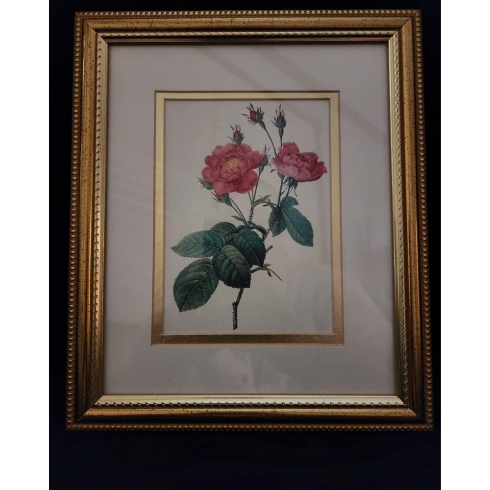 Vintage Pink Rose Floral Lithograph Print In Gold Wooden Frame, Double Matted